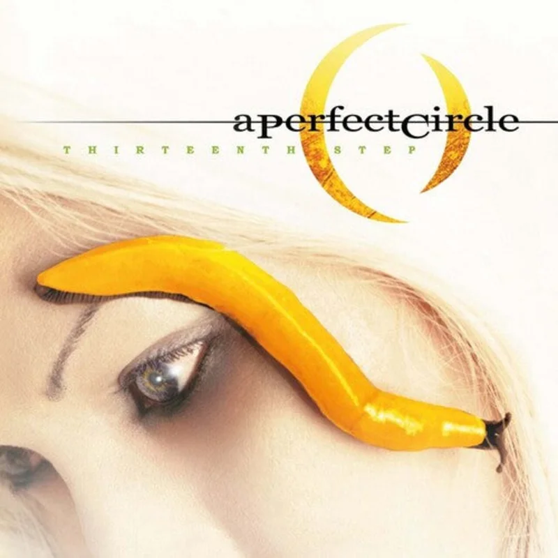 A Perfect Circle - Thirteenth Step - Music On Vinyl LP