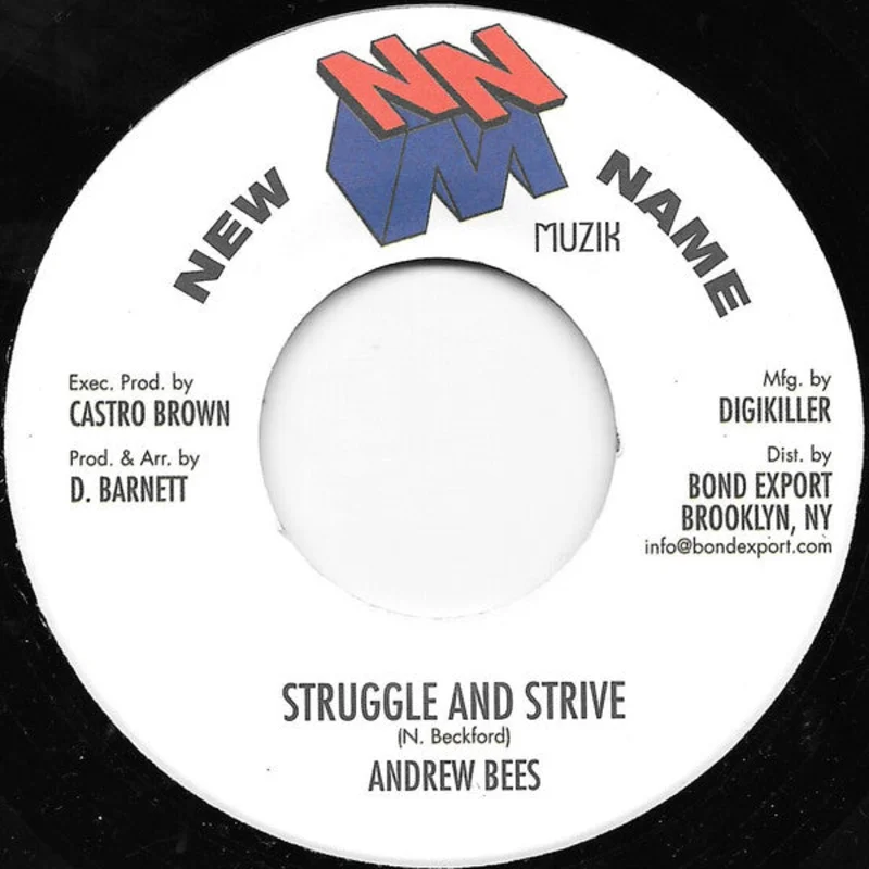 ANDREW BEES - Struggle and Strive - 7" - Vinyl