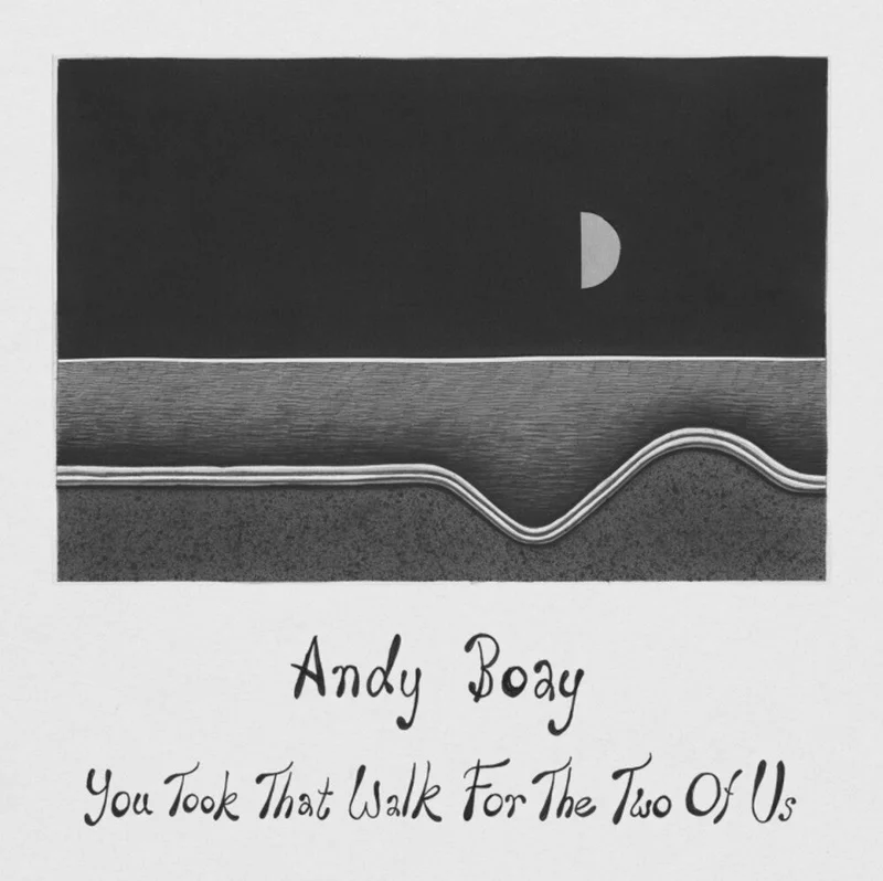 Andy Boay - You Took That Walk For The Two Of Us [LP]