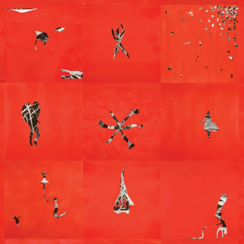 Animal Collective - Animal Collective - LP