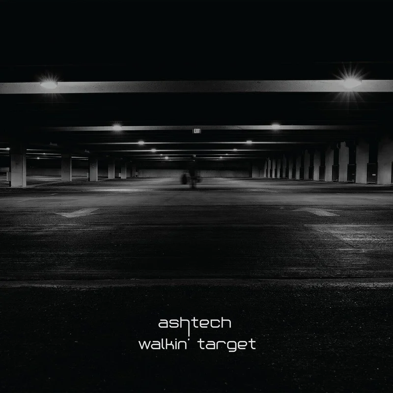 Ashtech - Walkin' Target [LP]