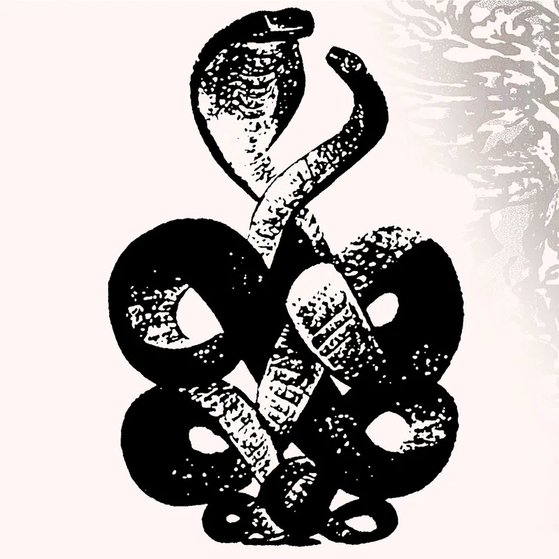 BARDO POND - Volume 4 & 5