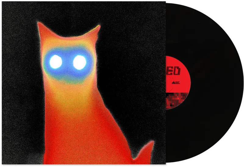Basement - WIRED [LP]