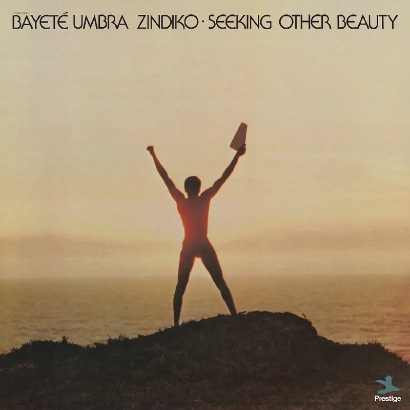 BAYET UMBRA ZINDIKO - Seeking Other Beauty (All-Analog) - LP - Plasma Vinyl [FEB 6]