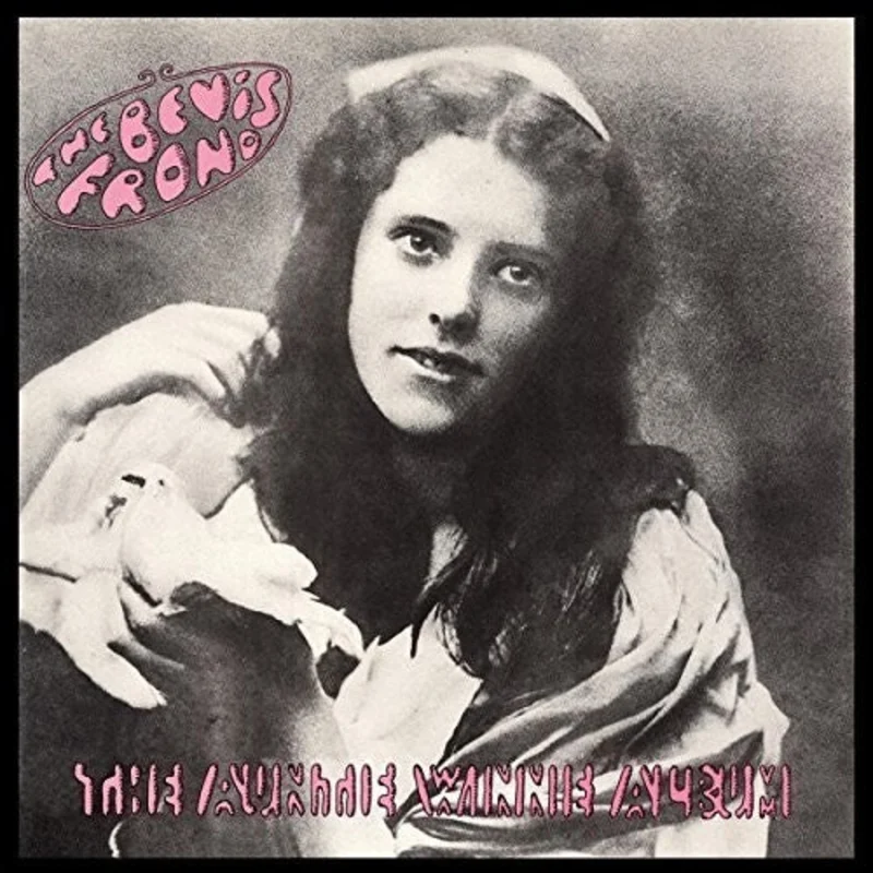 Bevis Frond - Auntie Winnie Album [CD]