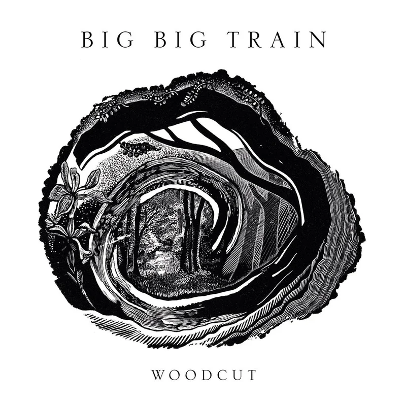 BIG BIG TRAIN - Woodcut - 2LP - Gatefold 180g Black Vinyl [FEB 6]