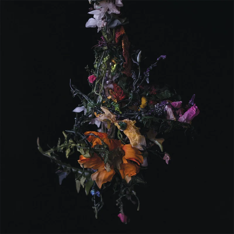 BIG | BRAVE - nature morte - LP - Vinyl