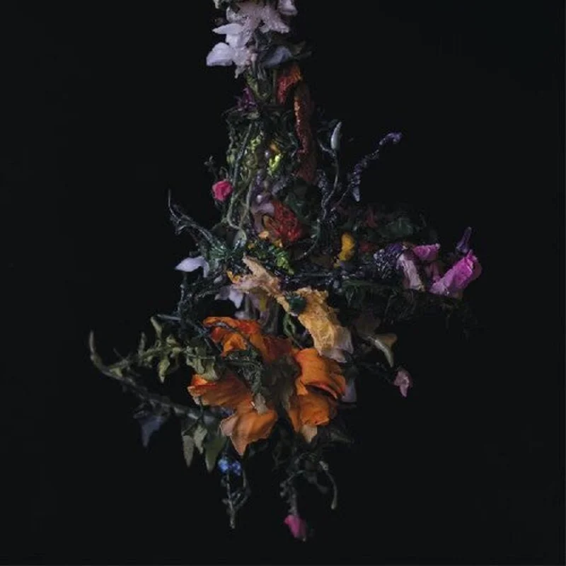 BIG/BRAVE - Nature Morte - LP