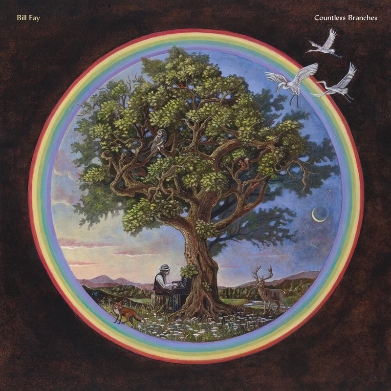 Bill Fay - Countless Branches [Deluxe 2LP]
