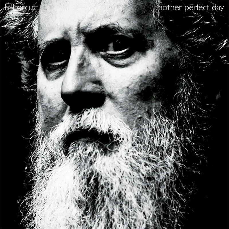 BILL ORCUTT - Another Perfect Day - LP - Vinyl