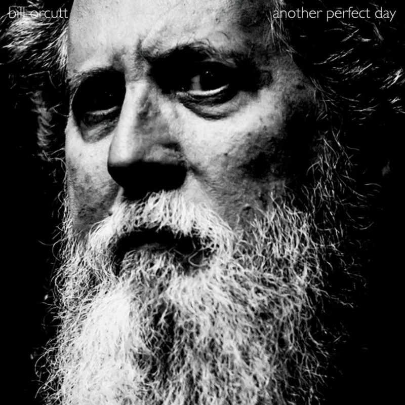 Bill Orcutt - Another Perfect Day [LP]