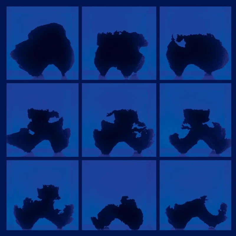 Birth (Defects) - Fictional Days BLACK / COBALT BLUE LP (Vinyl LP) PRE-ORDER
