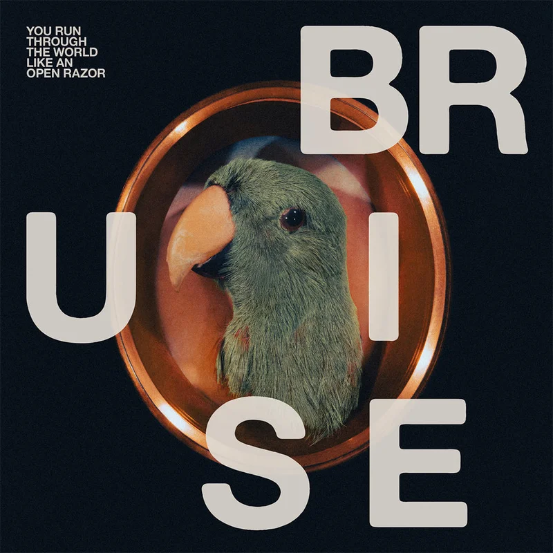 BRUISE BLOOD - You Run Through The World Like An Open Razor - LP - Vinyl [OCT 31]