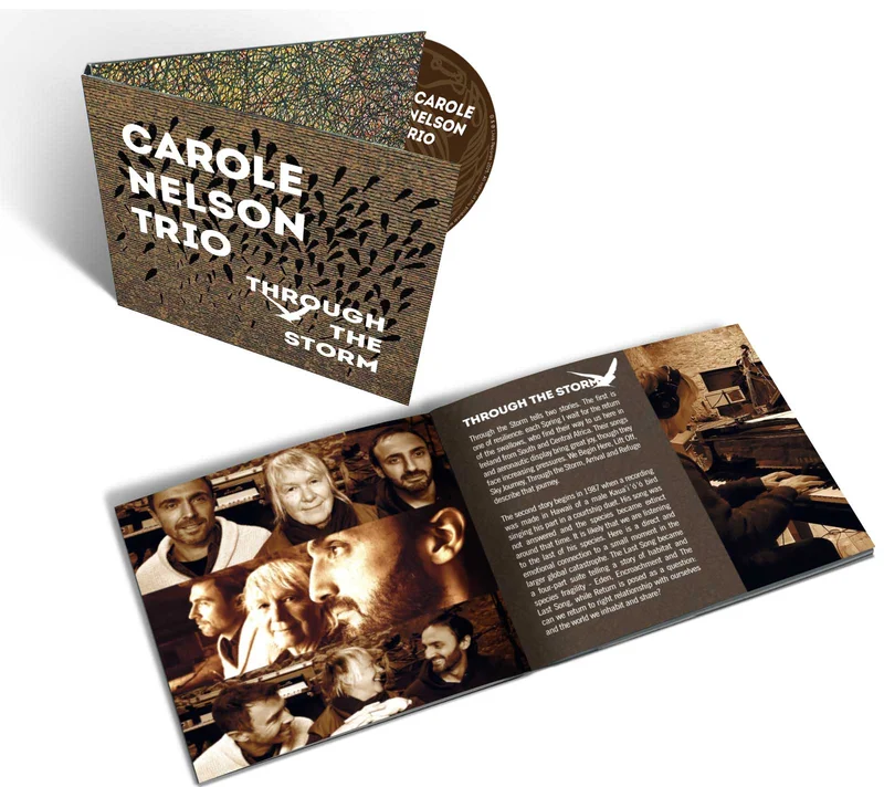 CAROLE NELSON TRIO - Through The Storm - CD