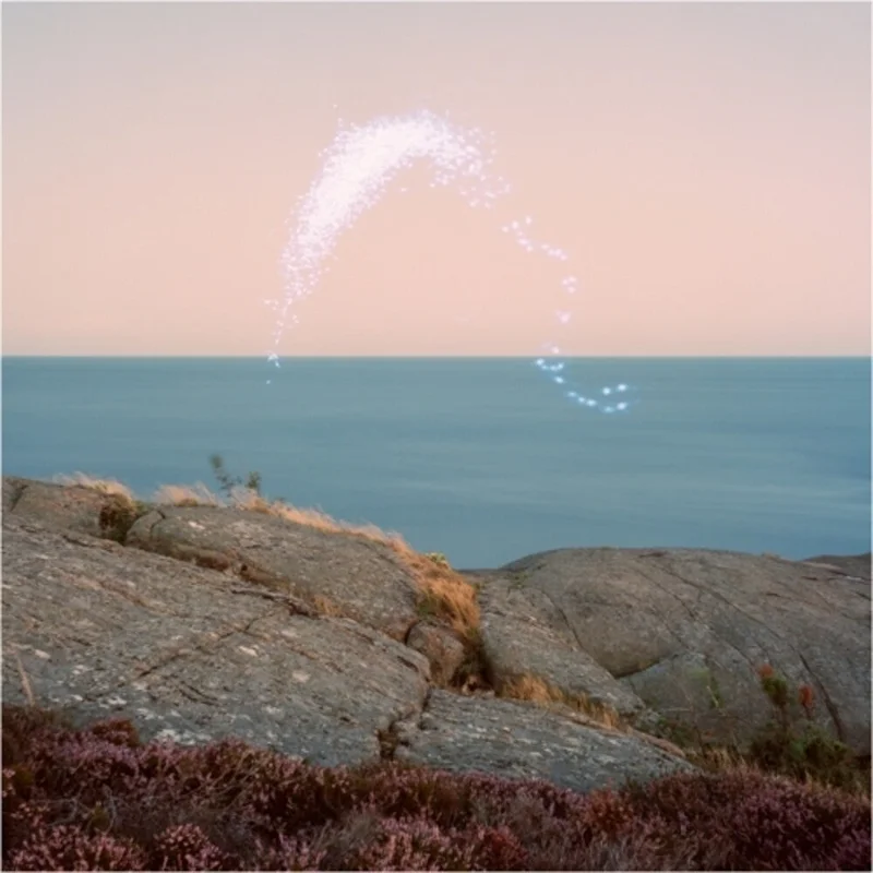 Cassandra Jenkins - An Overview on Phenomenal Nature [CD]