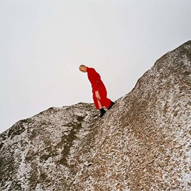 Cate Le Bon - Reward [CD]