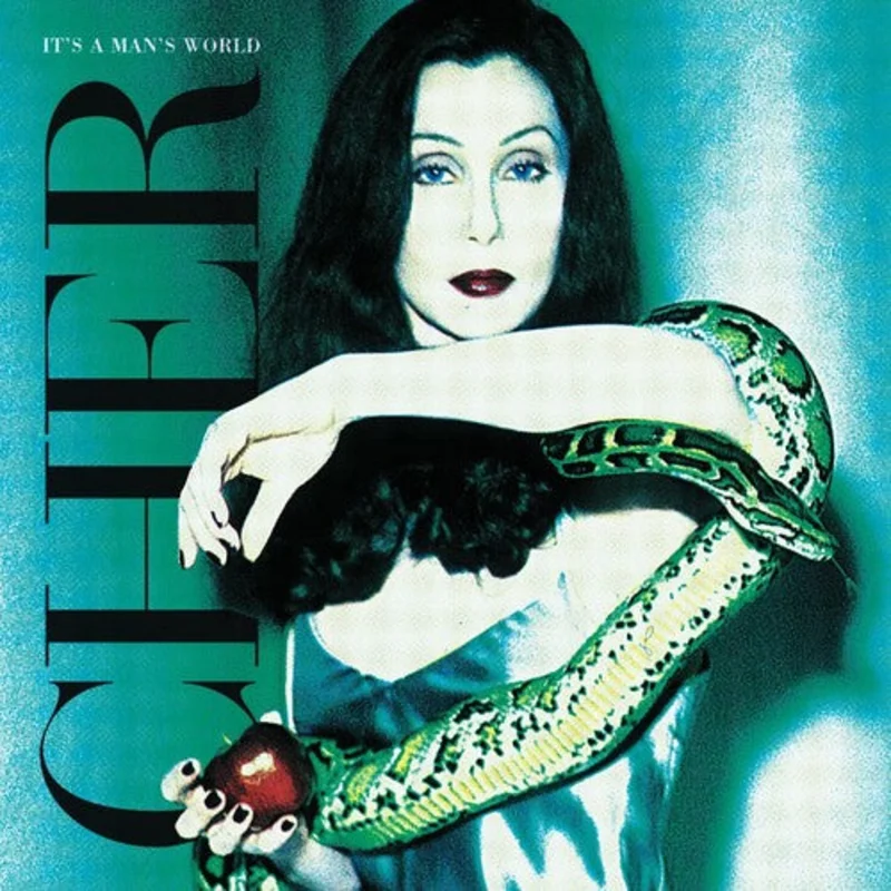 Cher - It's A Man's World - LP