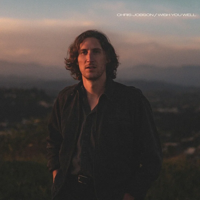 Chris Jobson - Wish You Well [LP]