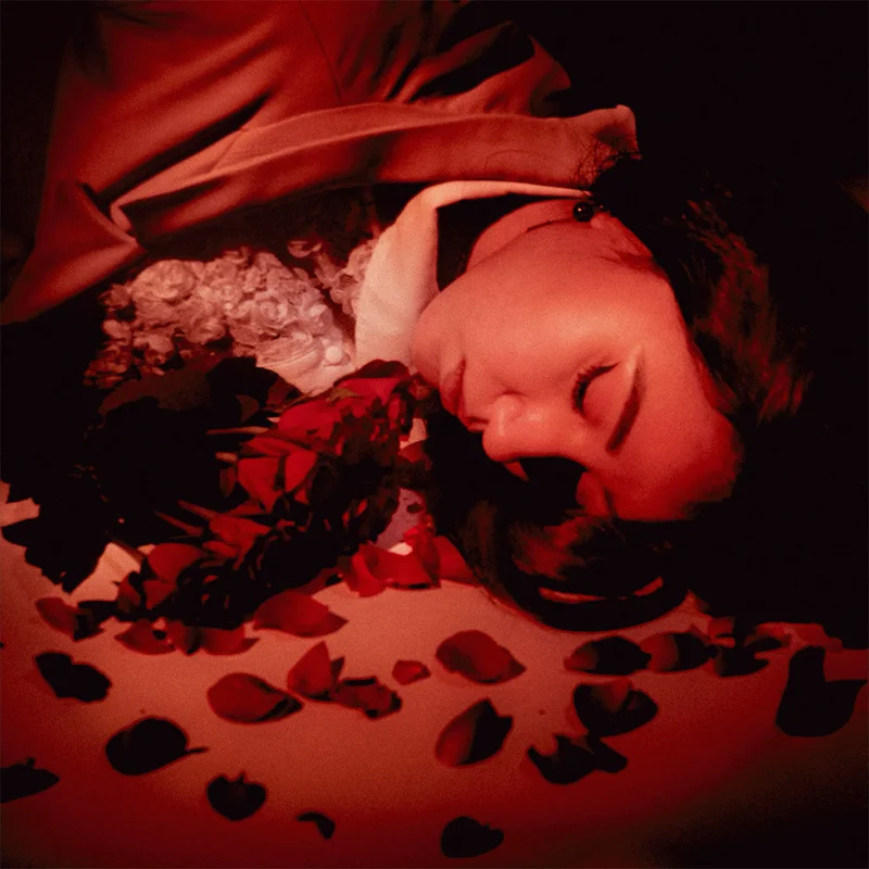 COMING UP ROSES - How Did We Fall So Far? - CD [JUN 20]