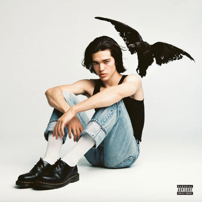 Conan Gray - Kid Krow - LP