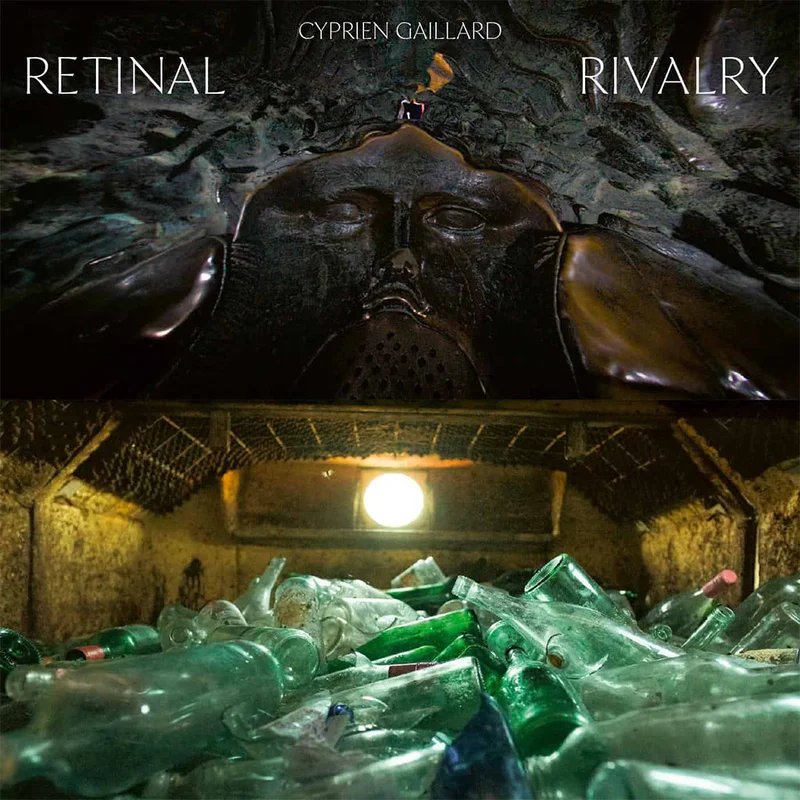 CYPRIEN GAILLARD - Retinal Rivalry (Original Score) - LP - Picture Disc Vinyl