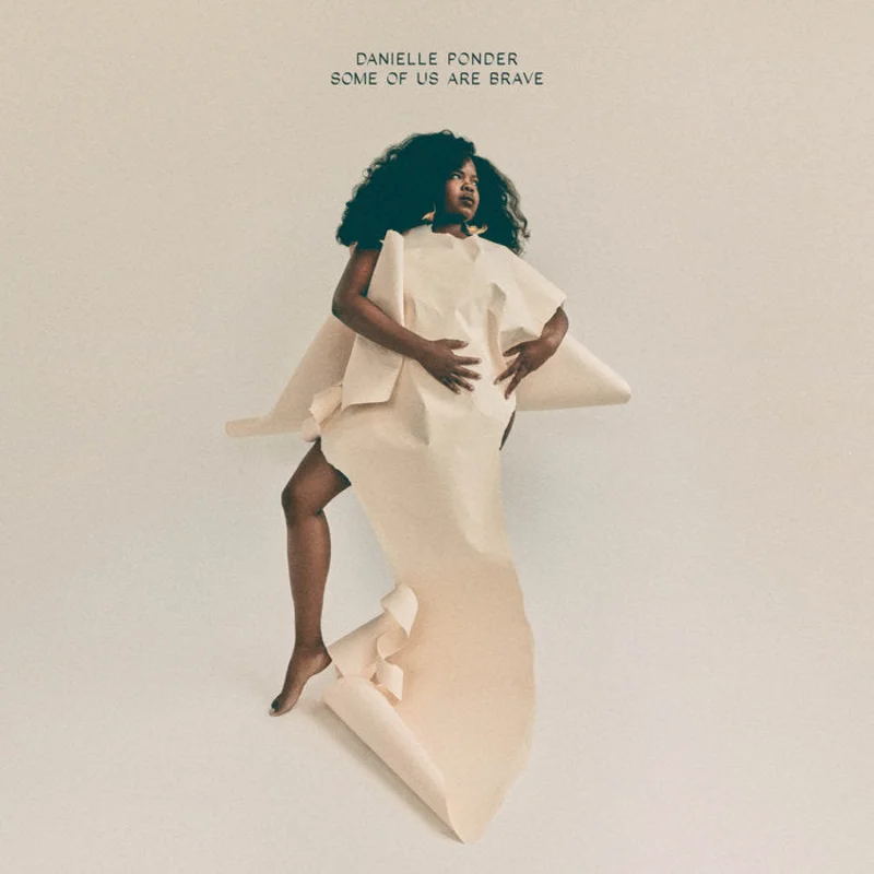 Danielle Ponder - Some Of Us Are Brave - Indie LP