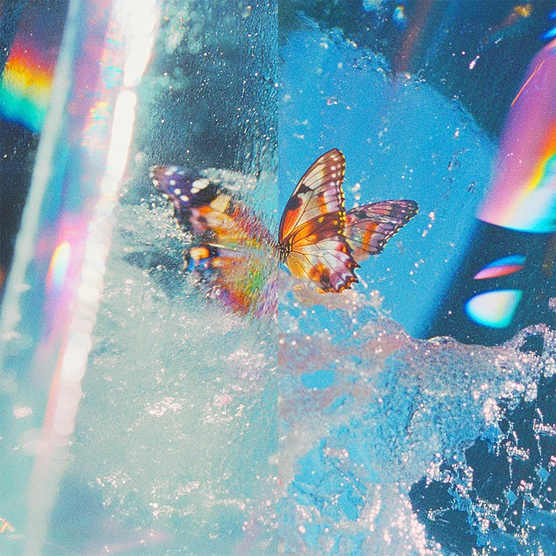 DAPHNI - Butterfly - 2LP - Black Vinyl [FEB 6]