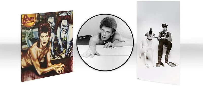 David Bowie - Diamond Dogs (50th Anniversary Picture Disc) [LP]