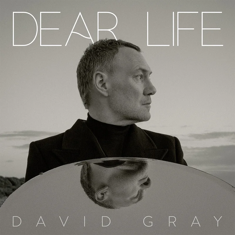DAVID GRAY - Dear Life - 2LP - Black Vinyl