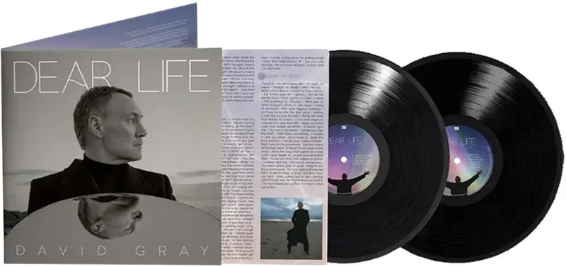 David Gray - Dear Life [LP]