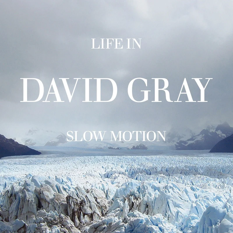 DAVID GRAY - Life in Slow Motion (20th Anniversary Edition) - LP - Black Vinyl