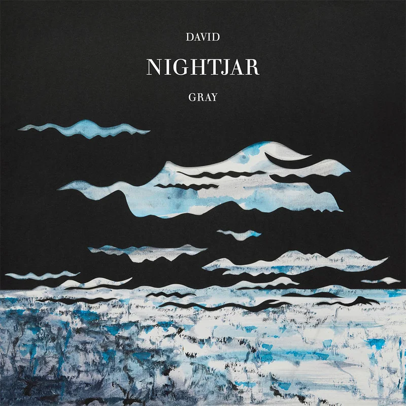 DAVID GRAY - Nightjar - 2LP - Vinyl [MAR 27]