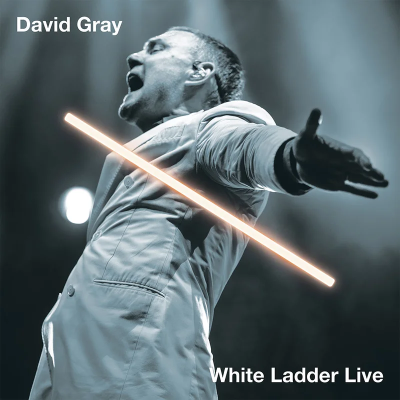DAVID GRAY - White Ladder Live (Repress) - 2LP - Vinyl