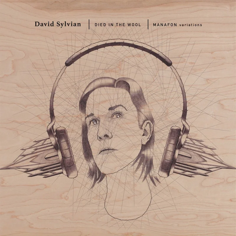 DAVID SYLVIAN - Died In The Wool (Manafon Variations) - 2LP - Gatefold Vinyl