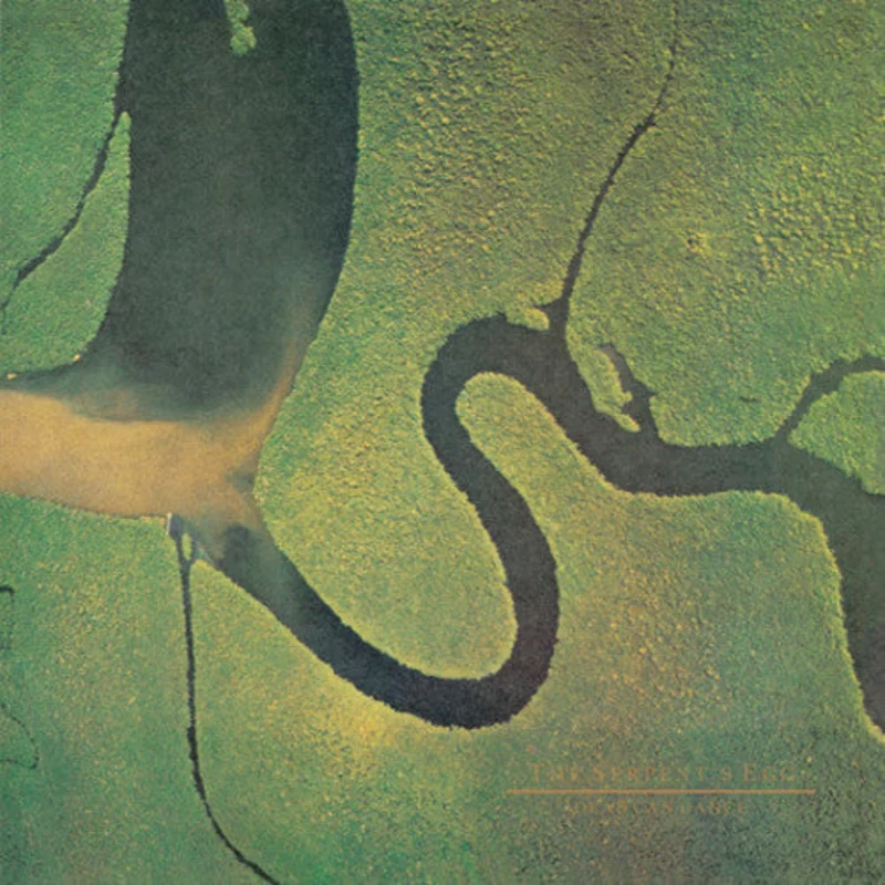 Dead Can Dance - The Serpent's Egg - LP