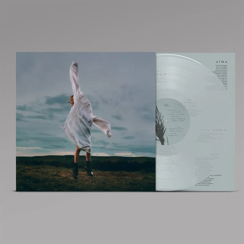 deary - Birding - LP - Transparent Pale Blue Vinyl [APR 3]
