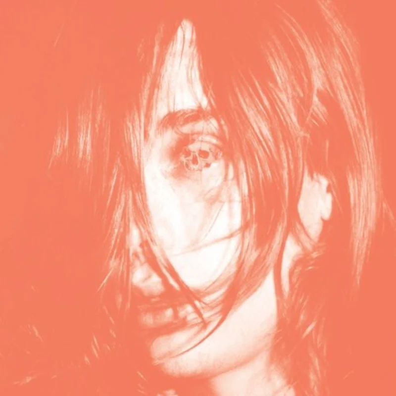 Deerhunter - Microcastle [LP]