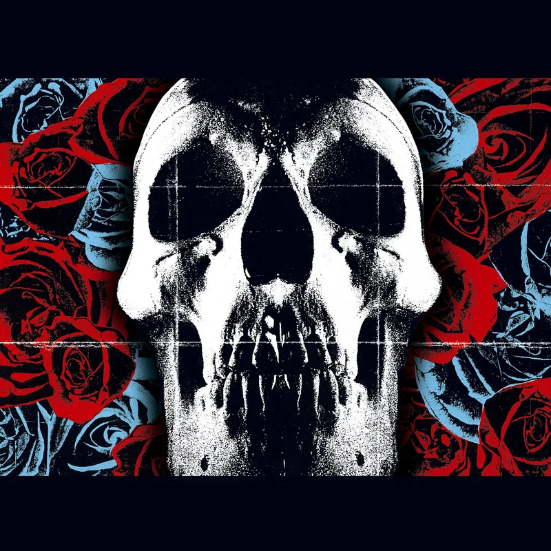 DEFTONES - Deftones (Reissue) - LP - Black Vinyl