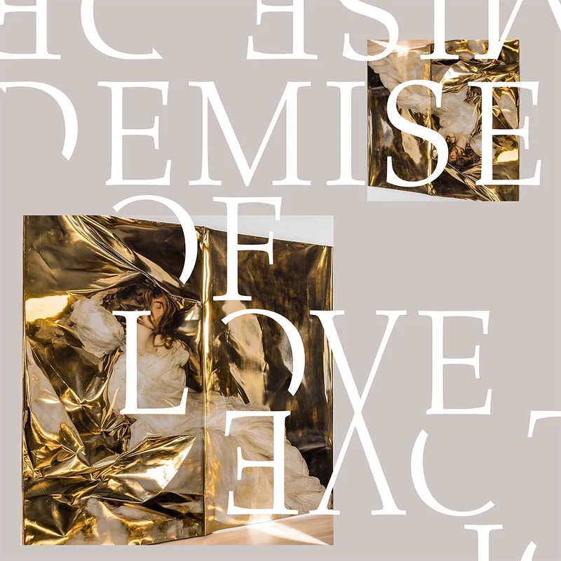 DEMISE OF LOVE - Demise Of Love EP - 10'' - Vinyl