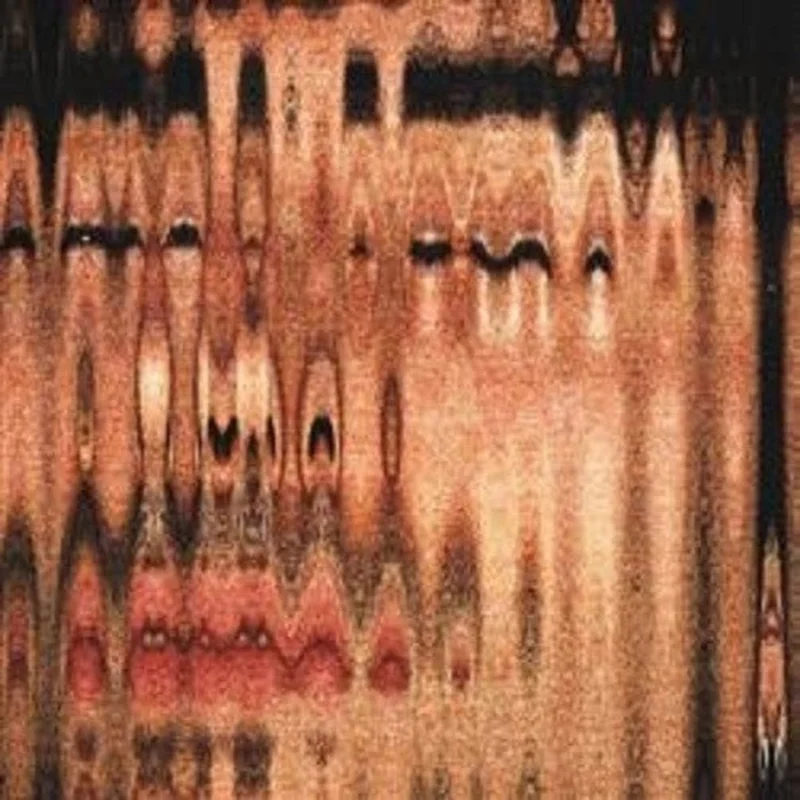 Depression Sonora -  El Arte De Morir Muy Despacio [CD]