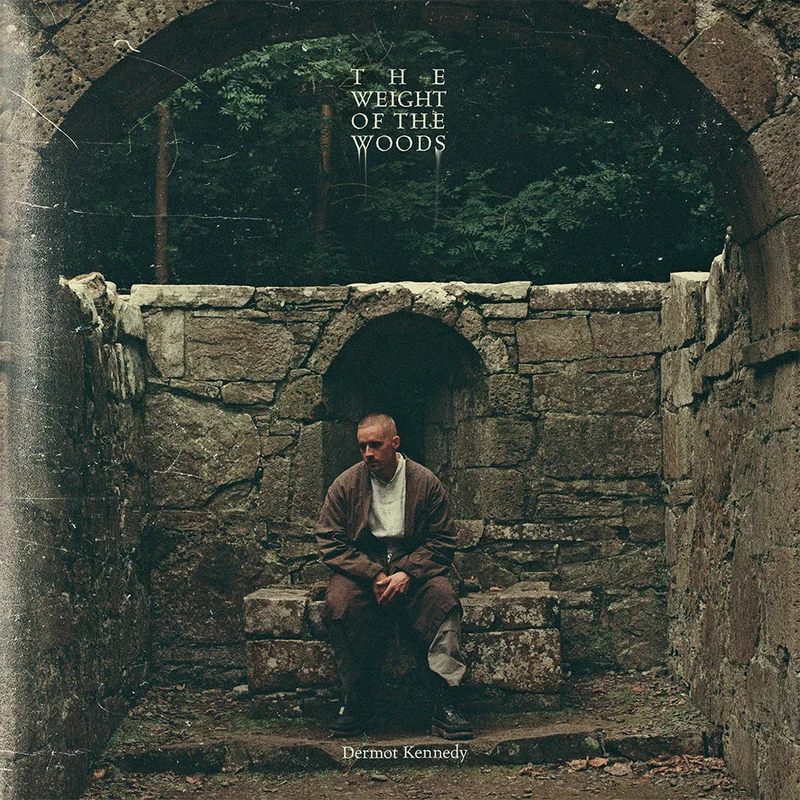 DERMOT KENNEDY - The Weight Of The Woods - LP - Recycled Black Vinyl [APR 3]