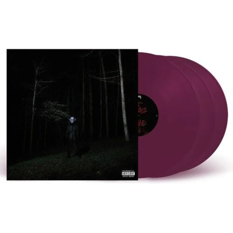 Destroy Lonely - If Looks Could Kill - LP