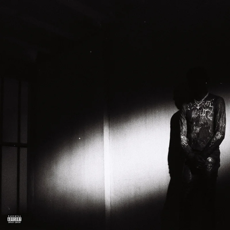 Destroy Lonely - No Stylist - LP