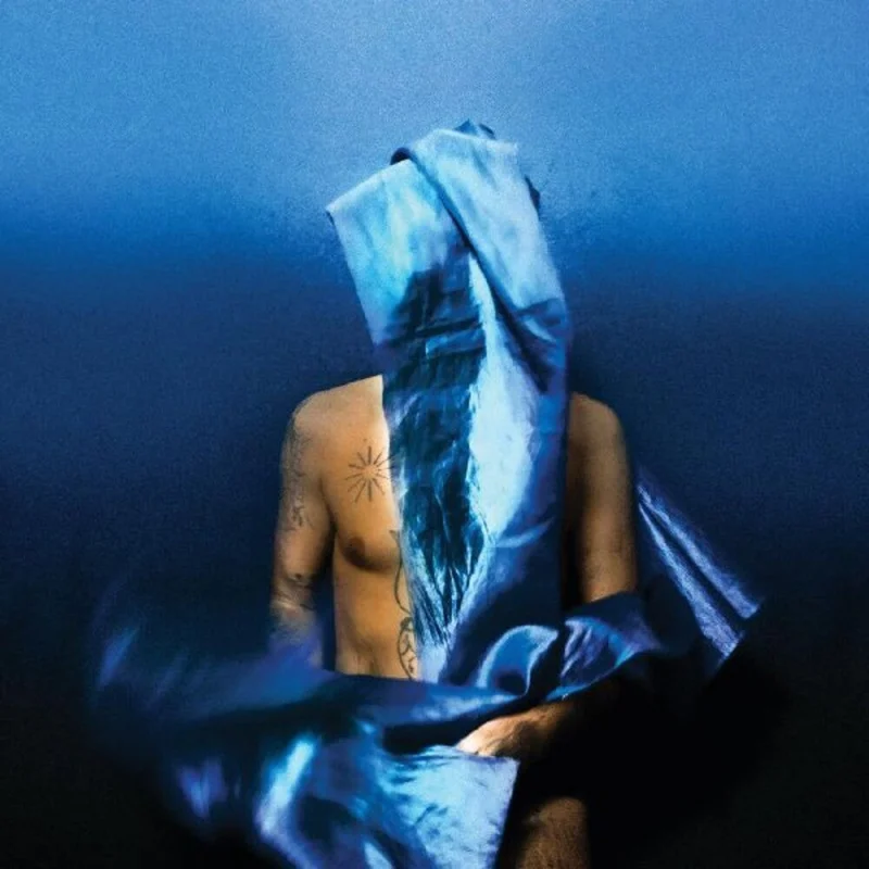 Devendra Banhart - Flying Wig [Indie Exclusive Limited Edition Opaque Blue LP]