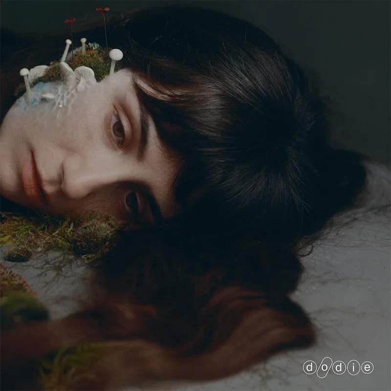 DODIE - Not For Lack Of Trying - LP - Black Vinyl [OCT 3]