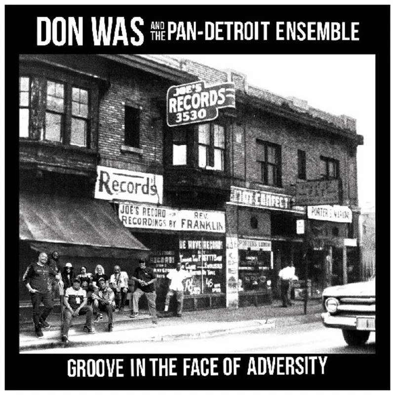 Don Was - Groove In The Face Of Adversity [LP]