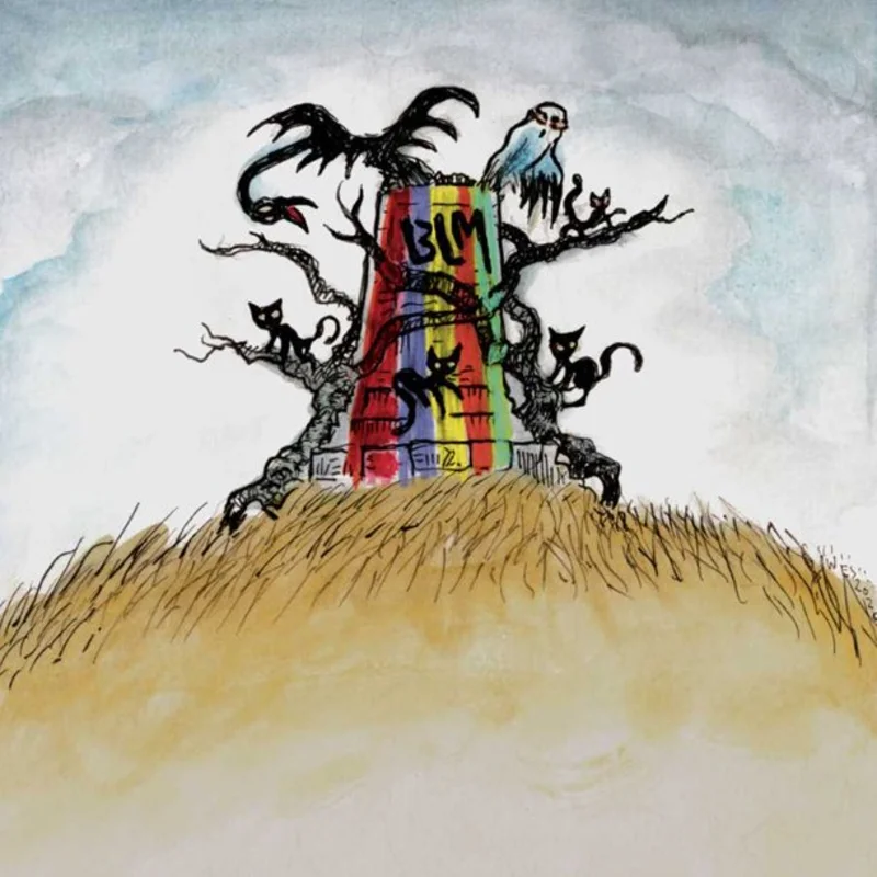 Drive-By Truckers - The New Ok. - LP