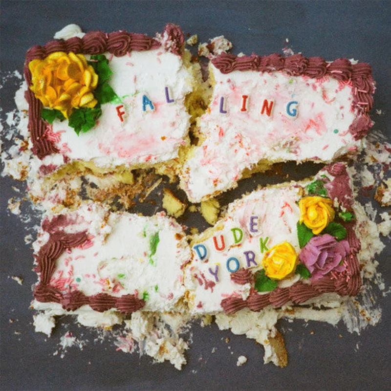Dude York - Falling - LP