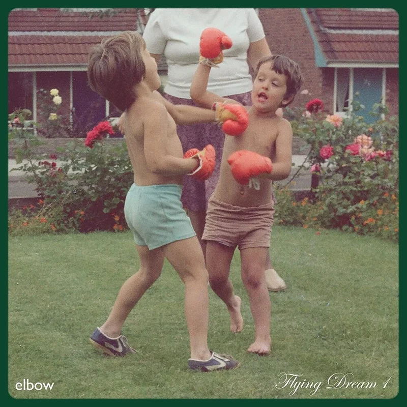 Elbow - Flying Dream 1 [Black LP]