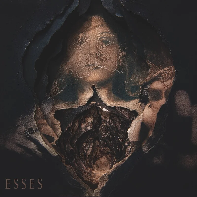 Esses - Pain At The Altar Of Jest [LP]